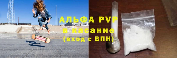 прущие грибы Богородицк