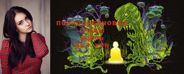 mdma Богданович