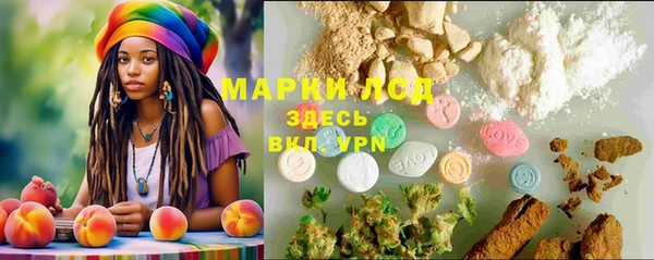 стафф Богородск