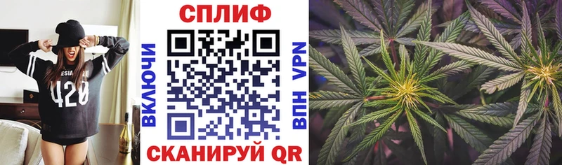 магазин наркотиков Междуреченск mega сайт Бошки марихуана индика